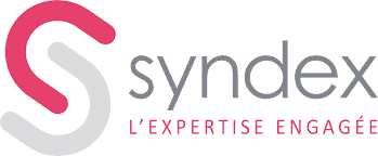 syndex logo cse