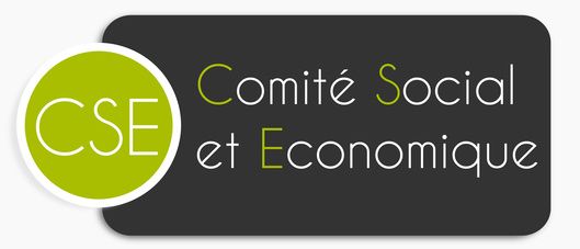 définition cse comité social et économique