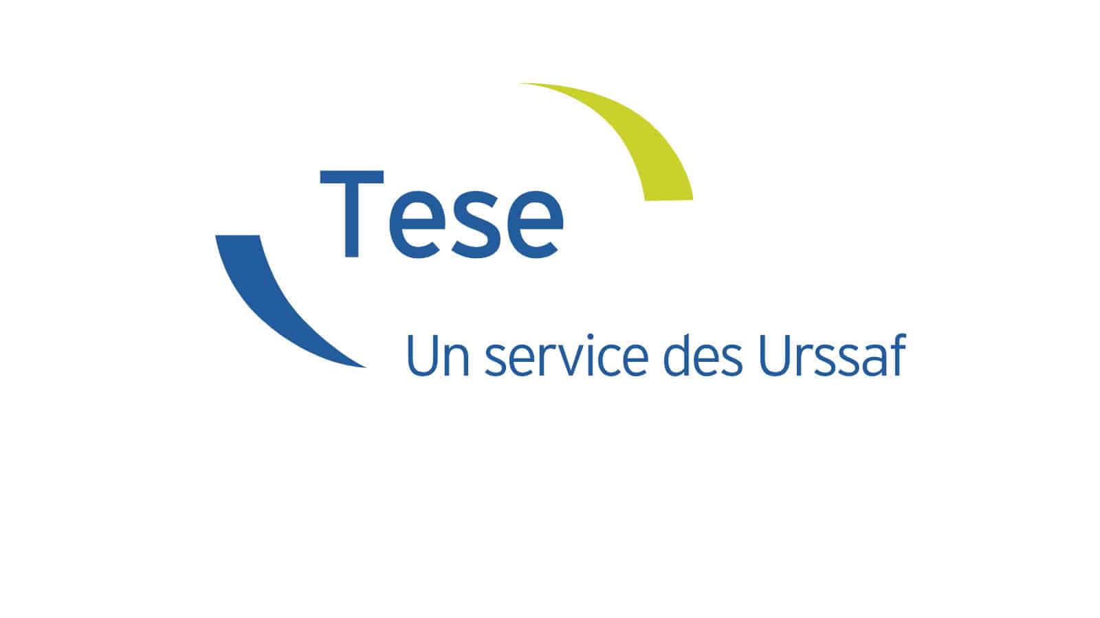 Titre emploi service entreprise