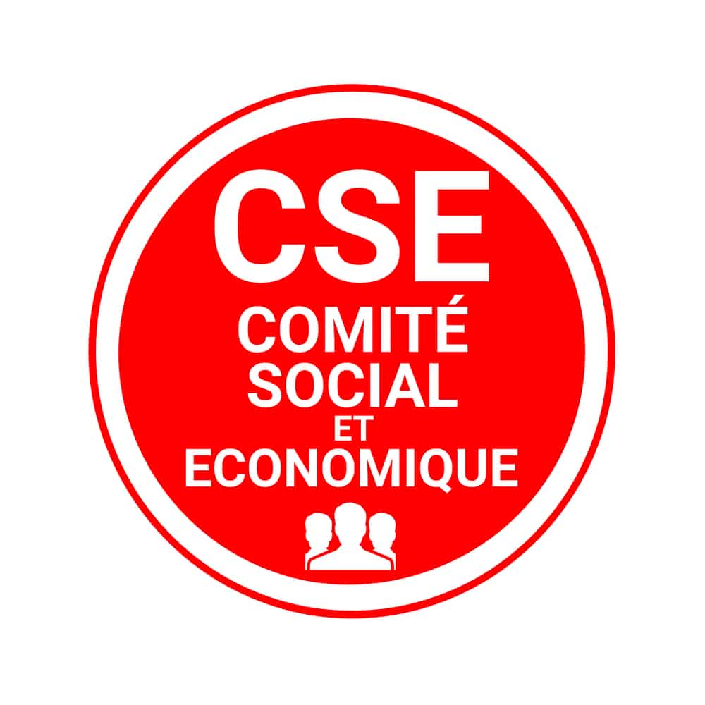 Cse moins de 50 salariés