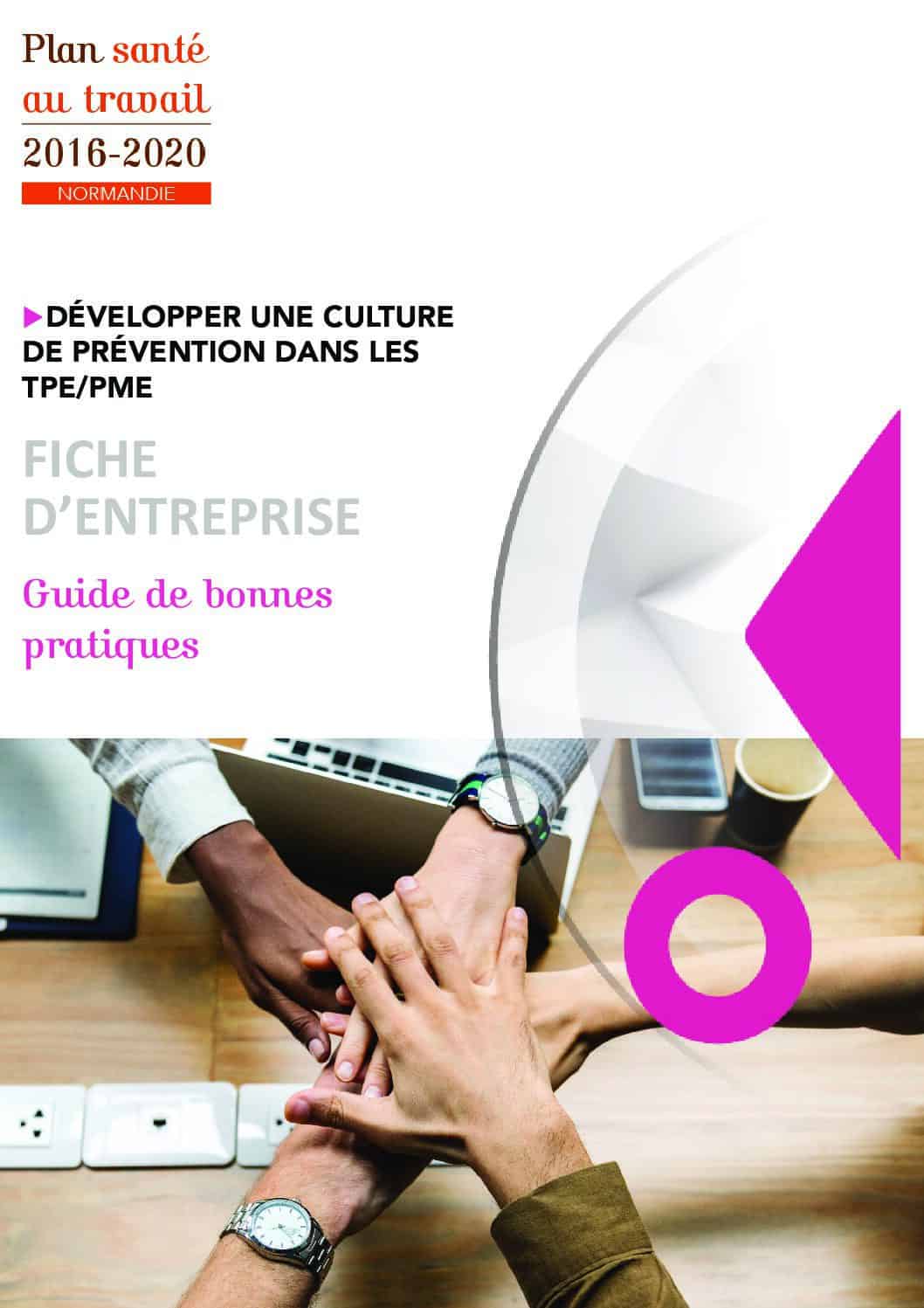 Exemple de fiche d'entreprise via le Plan Santé au Travail