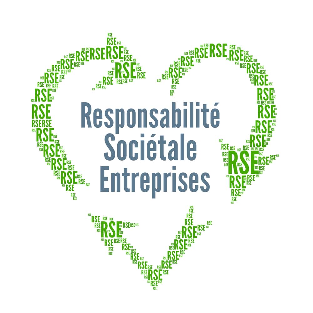 responsabilité sociale des entreprises (Guide RSE)