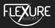 logo Flexure
